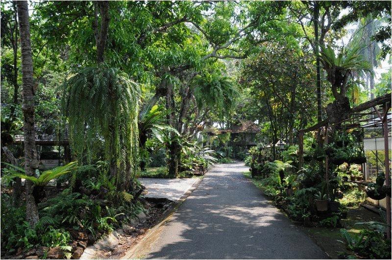 Fern Paradise Chiang Mai Extérieur photo